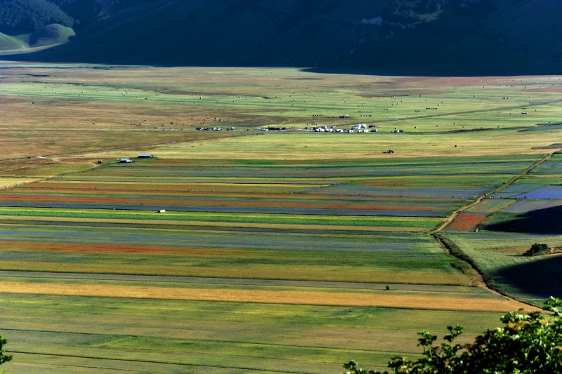 castelluccio di norcia